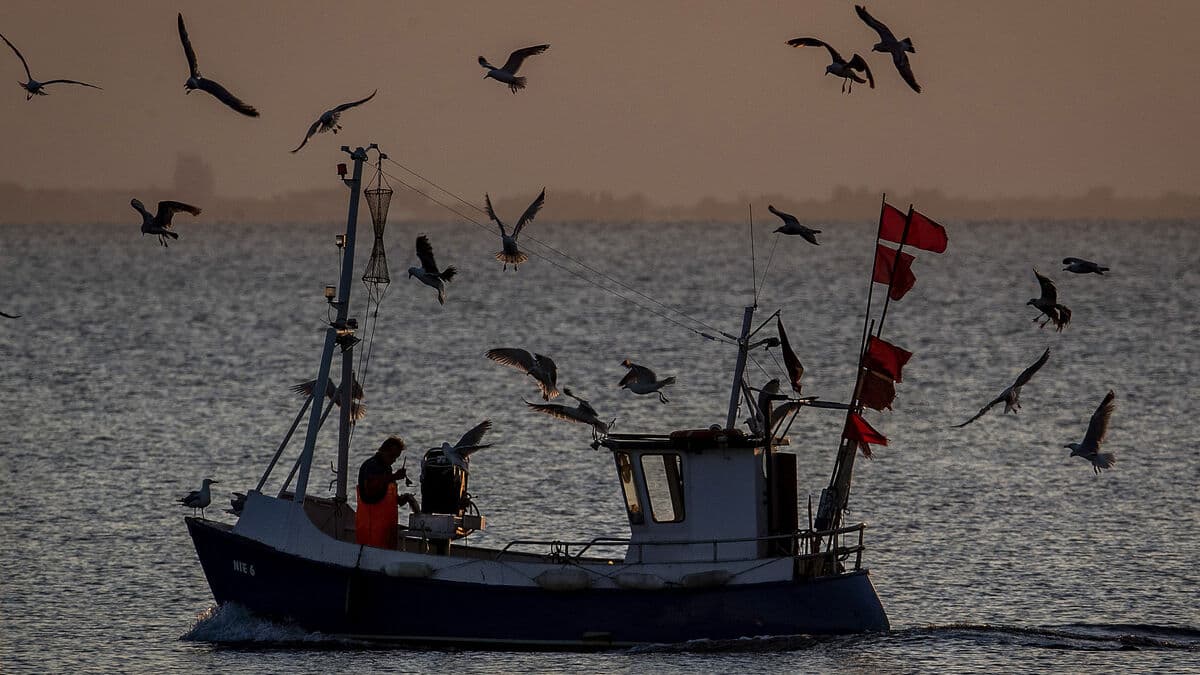 EU Leaders Hold Crisis Meeting on Baltic Sea Fish Stocks in Stockholm