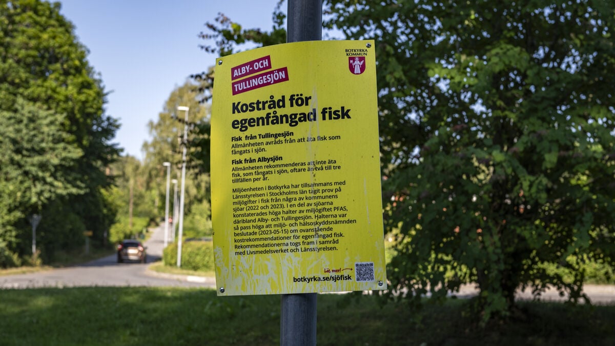 Study Links PFAS Exposure in Pregnancy to Brain Changes in Children