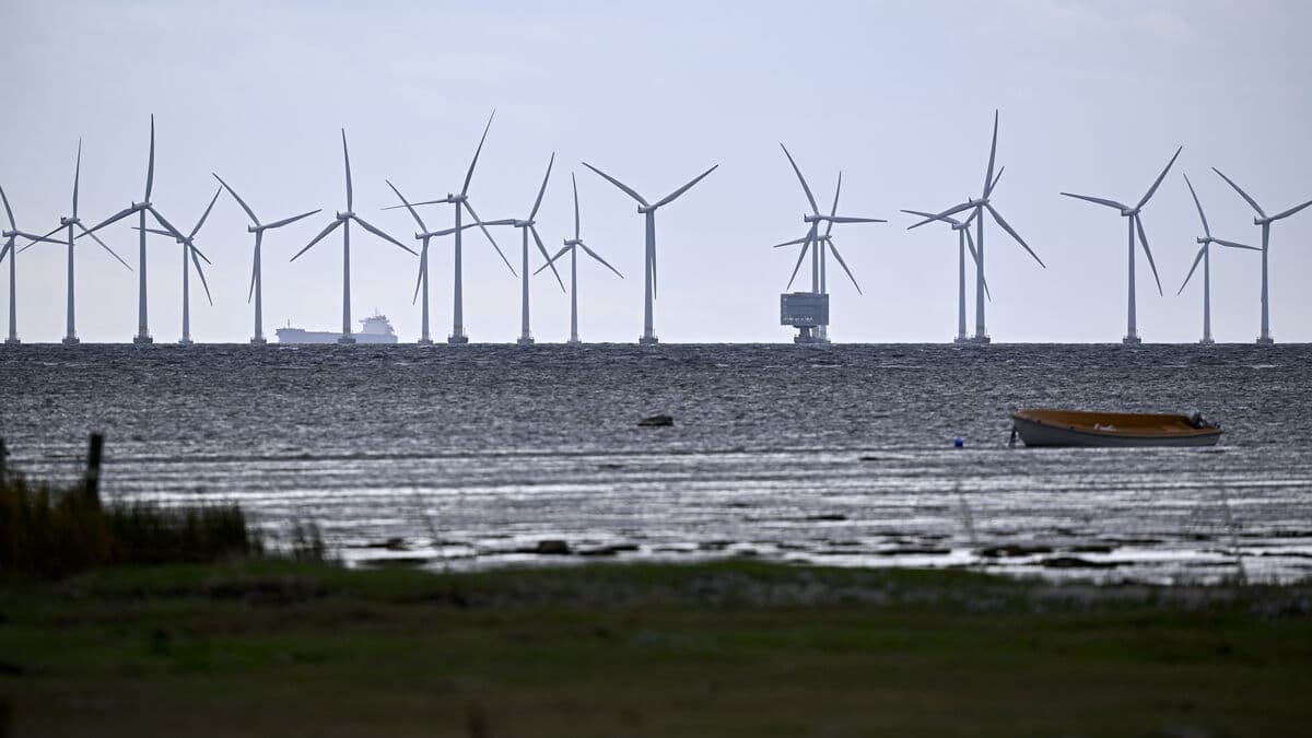 Sweden approves two offshore wind farms, rejects 11 others