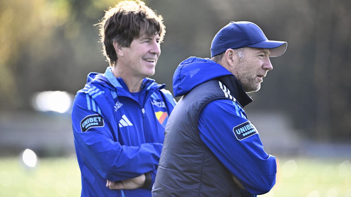 Swedish Football Association Seeks New Coach After Tomasson Exit