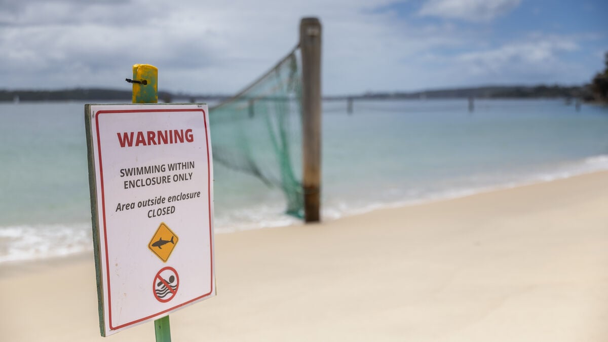 12-year-old boy dies in shark attack in Sydney