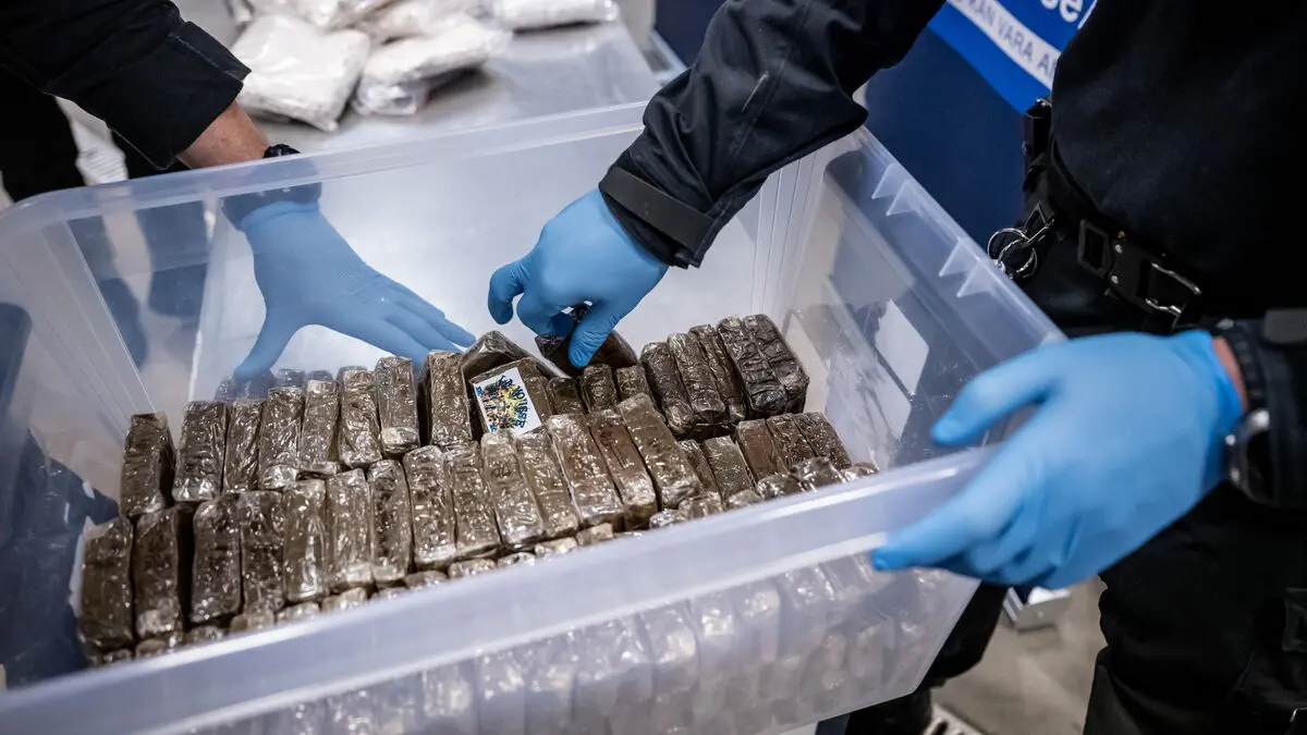 Hidden cannabis in solar cells - three charged with aggravated drug smuggling