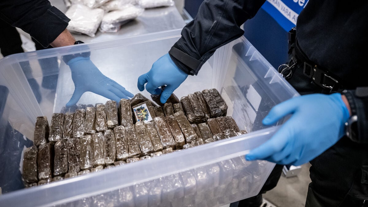 Hidden cannabis in solar cells - three charged with aggravated drug smuggling