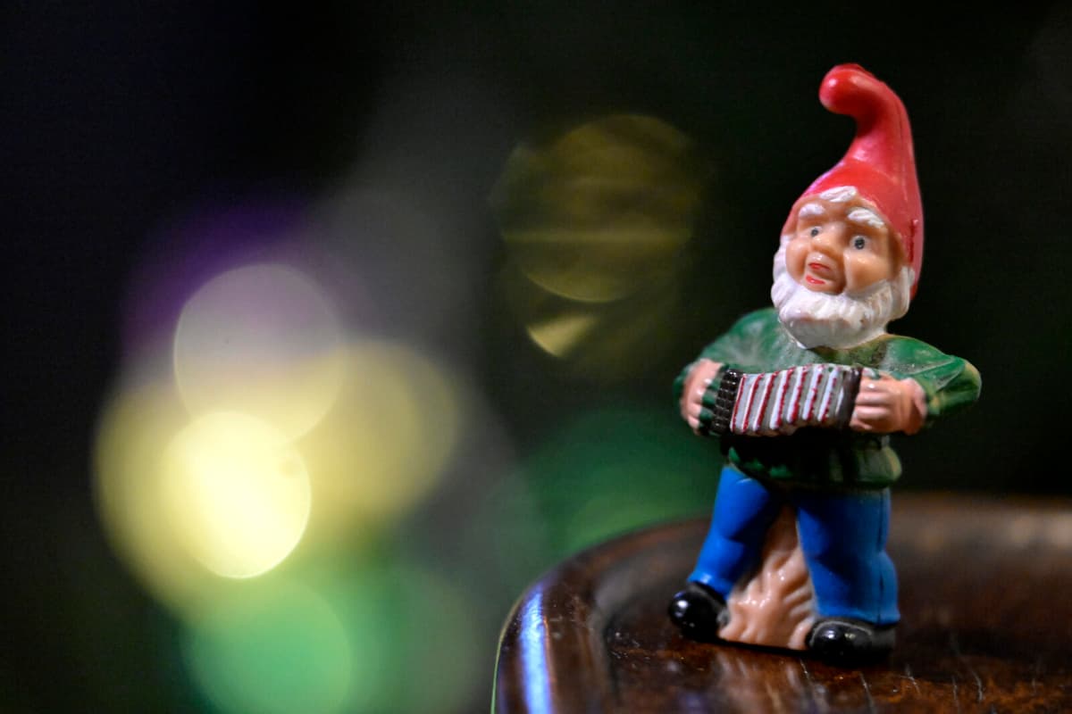 Woman Convicted for Offensive Photography After Nissebus Prank