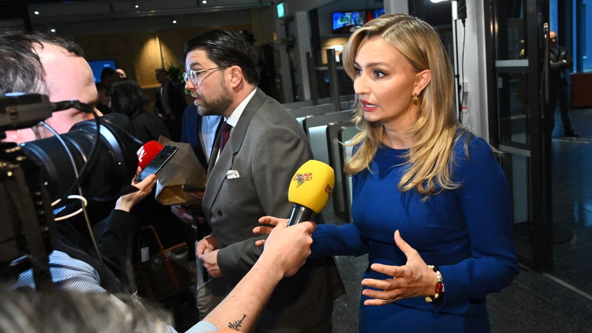 Åkesson repeats demand for clarity from Busch on possible S-led government support