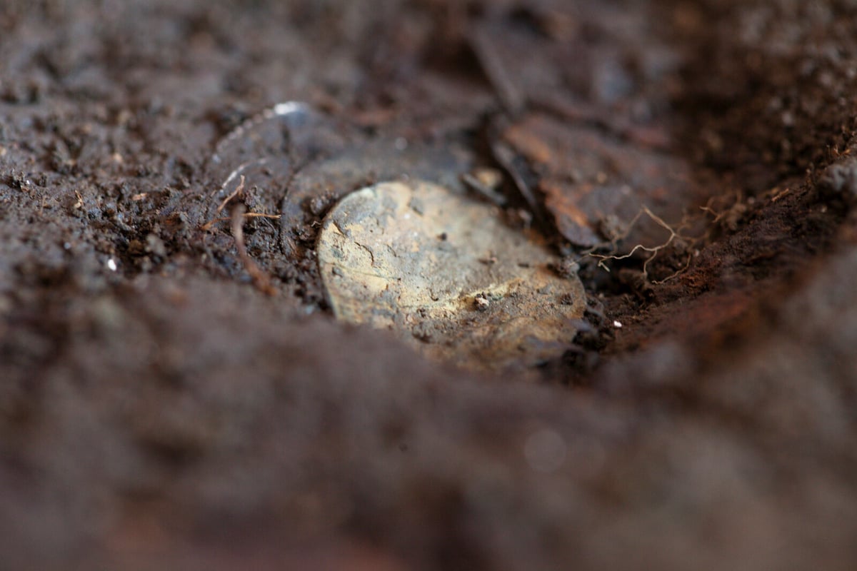 Large Medieval Silver Treasure Discovered Near Stockholm