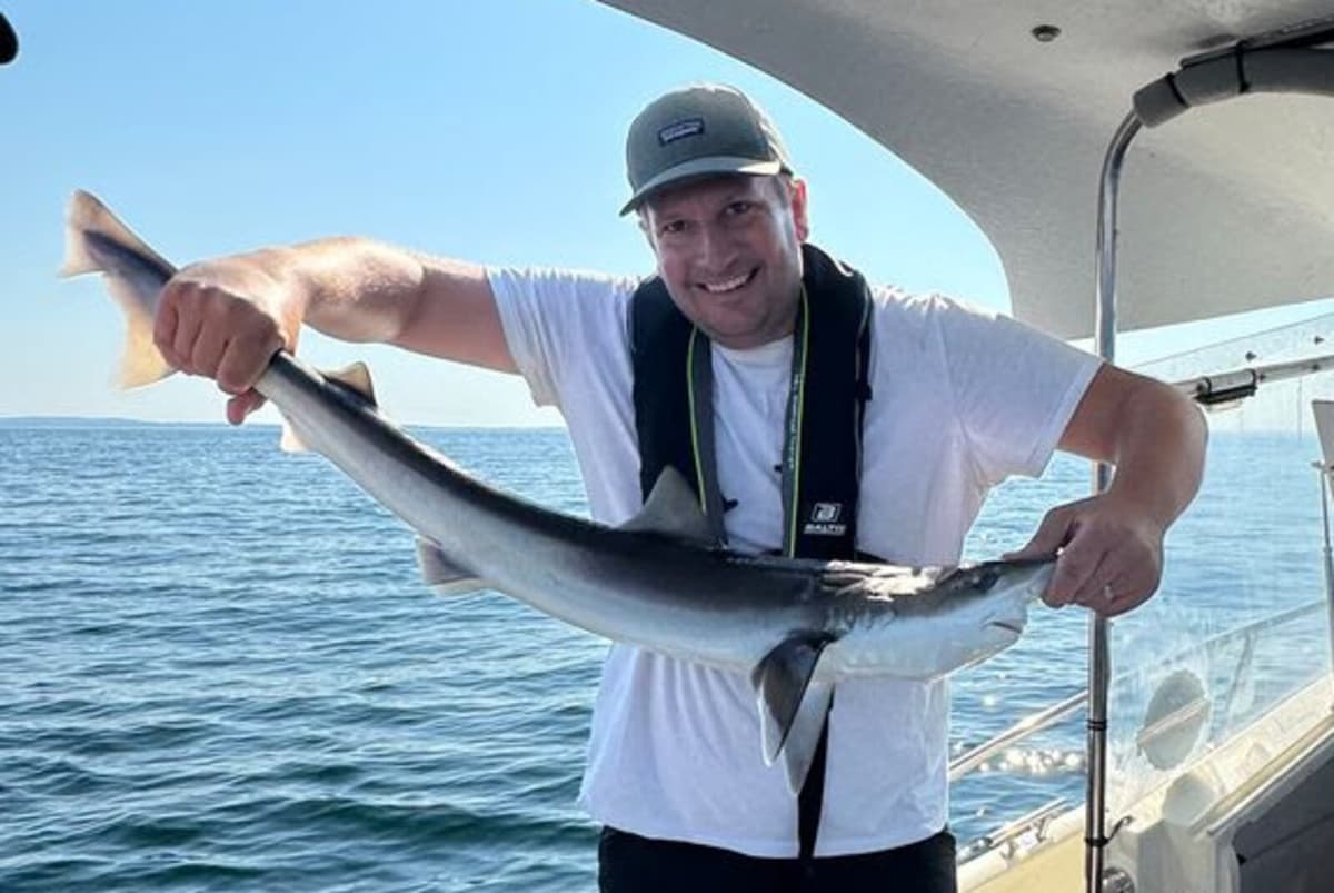 Rare Grey Sharks Caught in Sweden After Nearly 50 Years