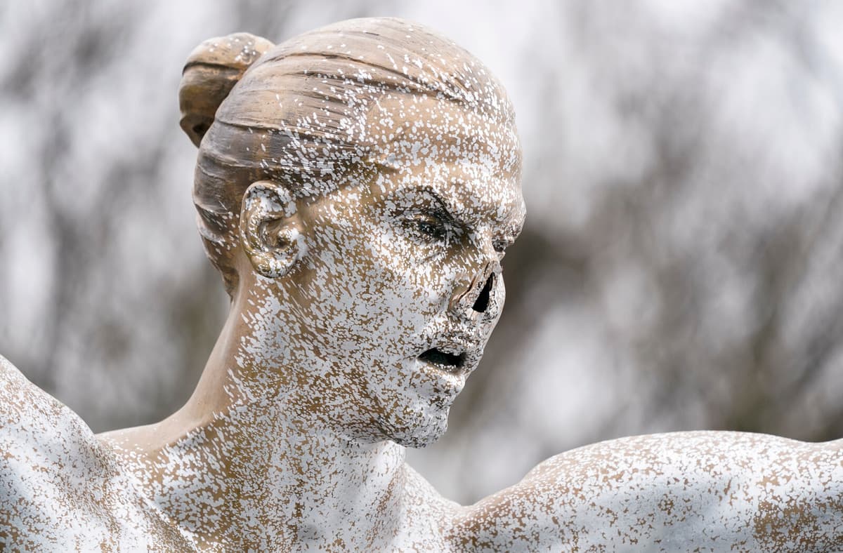 Man Behind Zlatan Statue Vandalism in Malmö Speaks Out