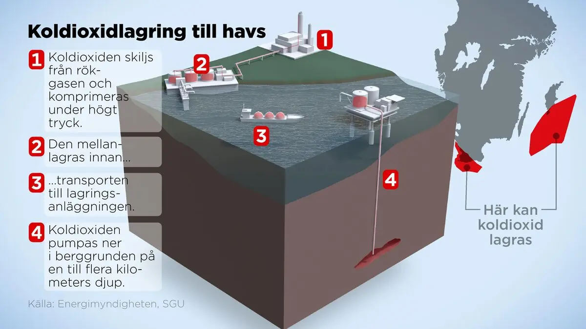 Clear: Where carbon dioxide can be stored in the Baltic Sea