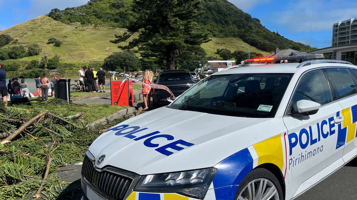 Several feared dead after landslide at Mount Maunganui campsite in New Zealand
