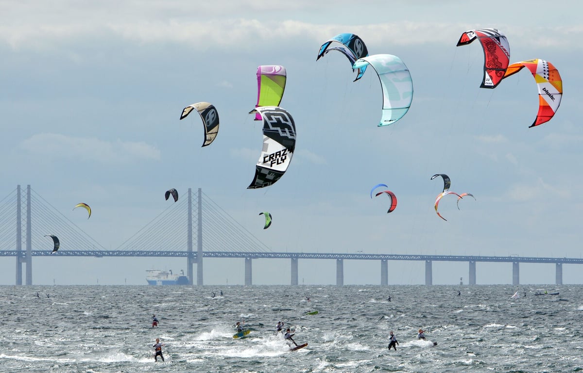 Kitesurfing Poses Growing Threat to Seabirds in Denmark