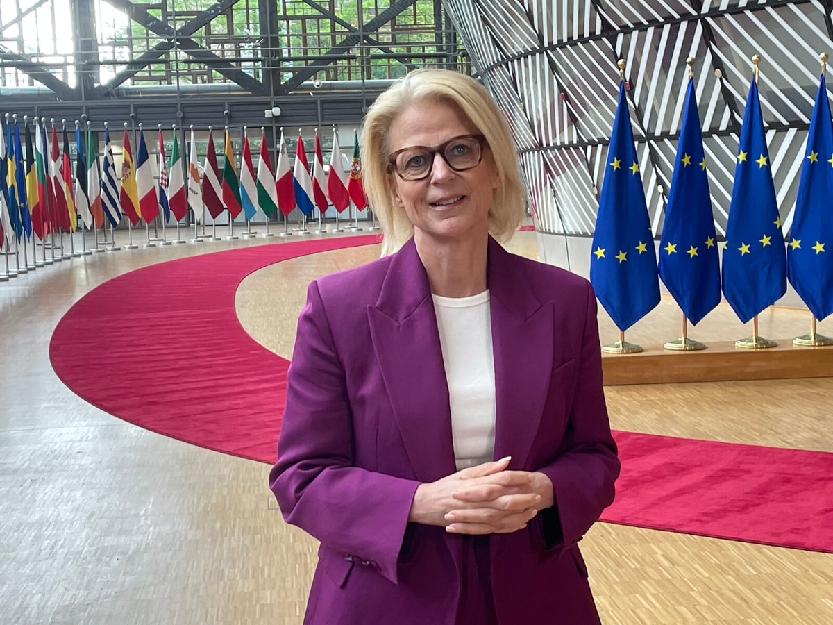 Svantesson Urges EU to Prepare for Potential 10% US Tariff