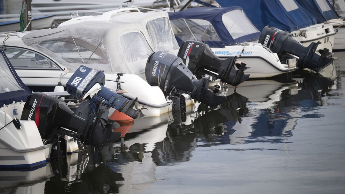 The police are targeting the gangs, thefts plummet