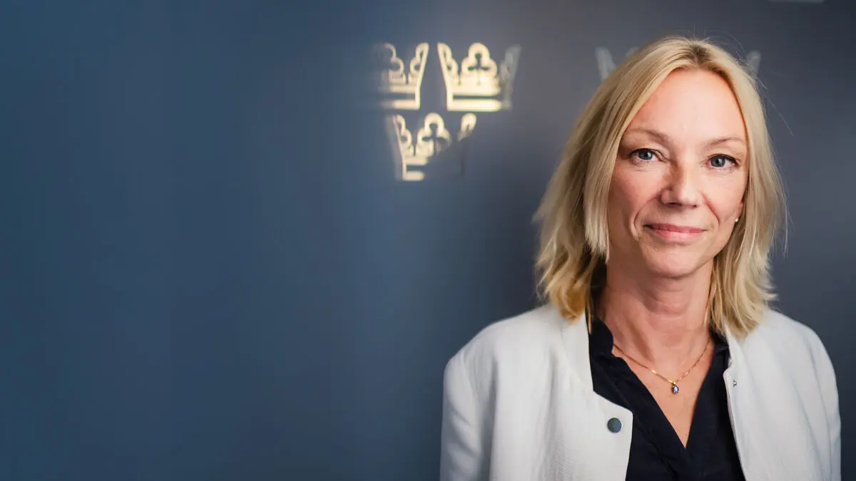 Central government surplus in November