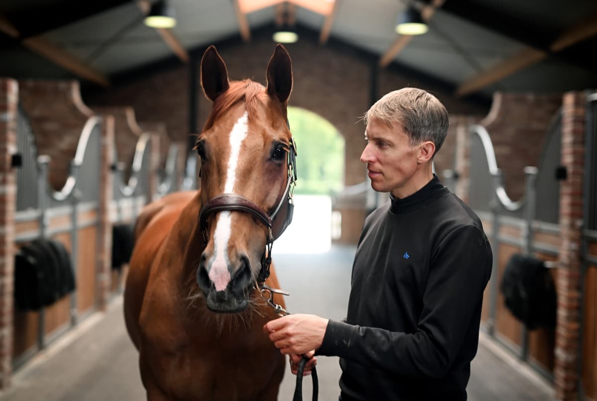 The Message about the Gold Horse: No More Championships