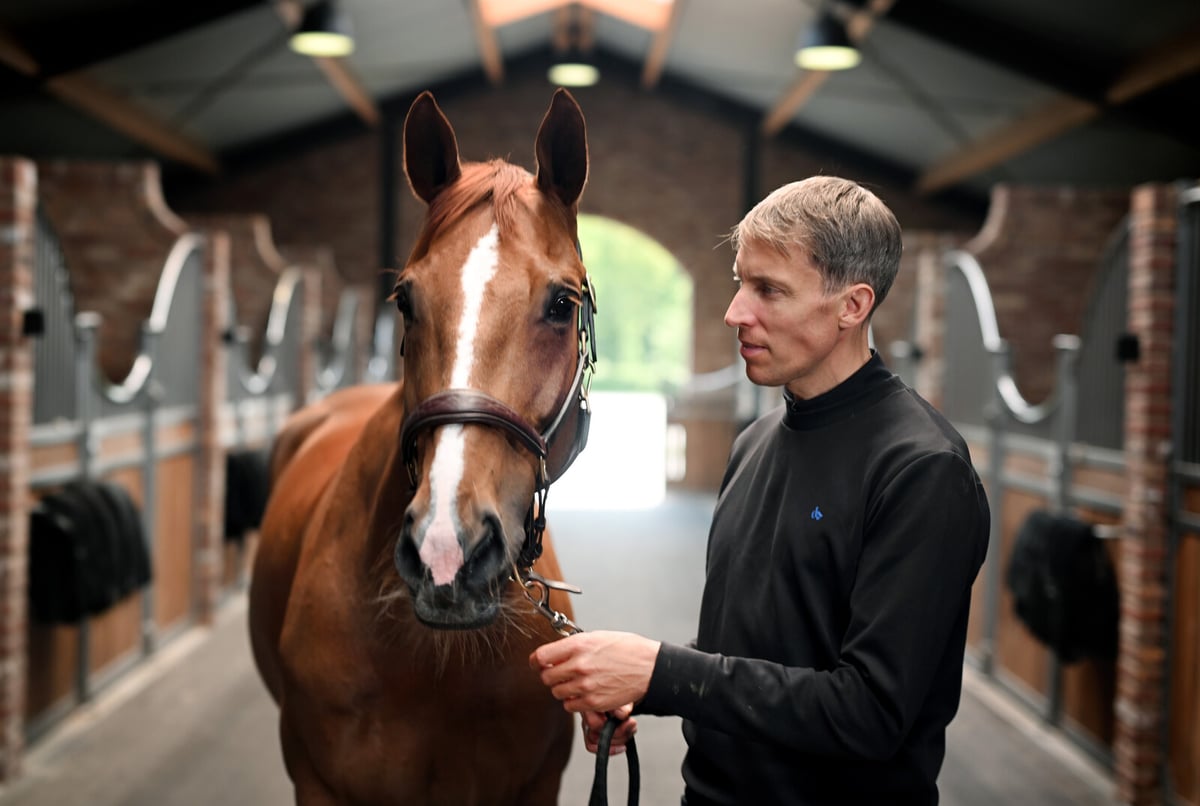 The Message about the Gold Horse: No More Championships