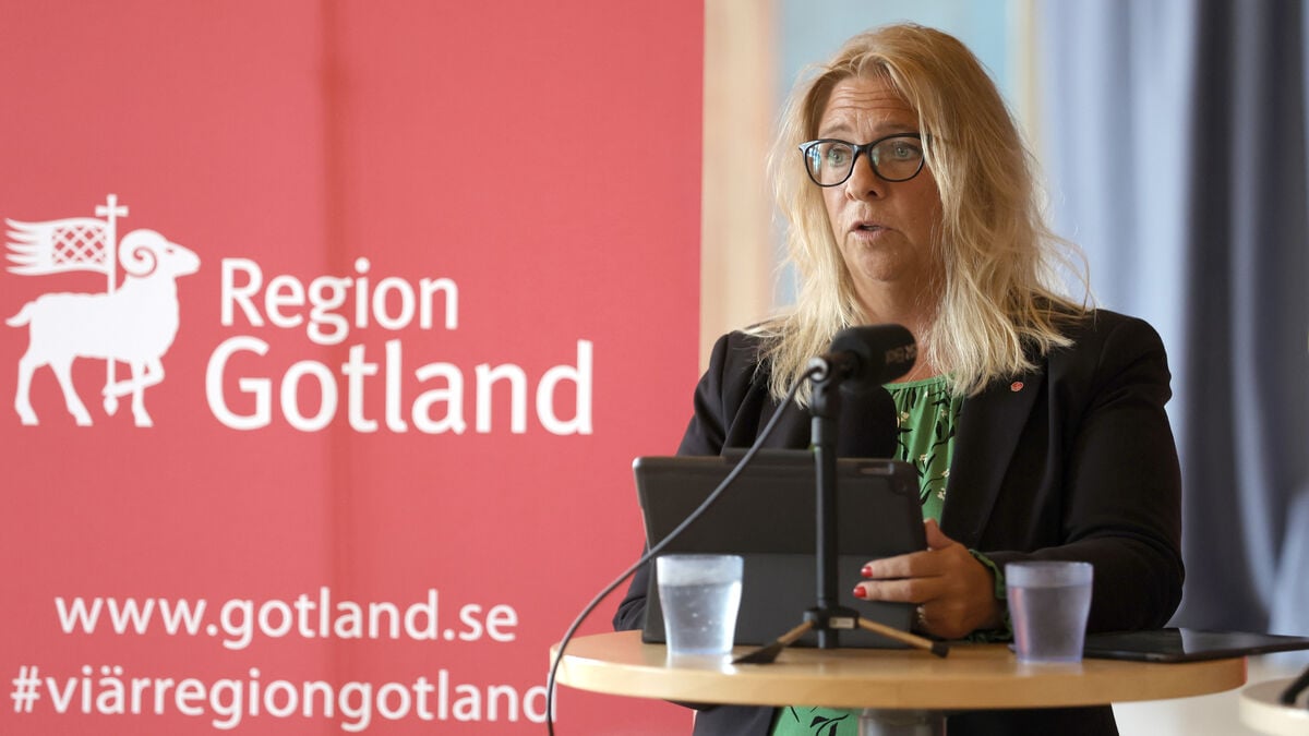 Meit Fohlin declines Riksdag seat, hands mandate to Filip Reinhag