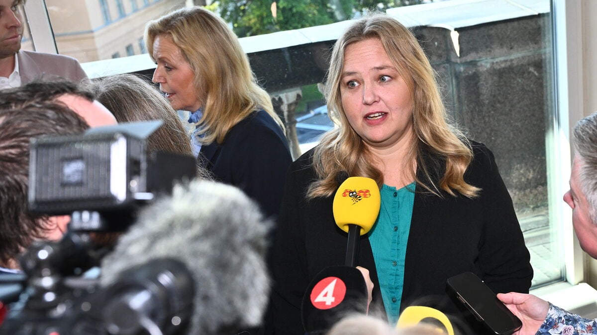 V says it is not part of a new bloc with the Moderates
