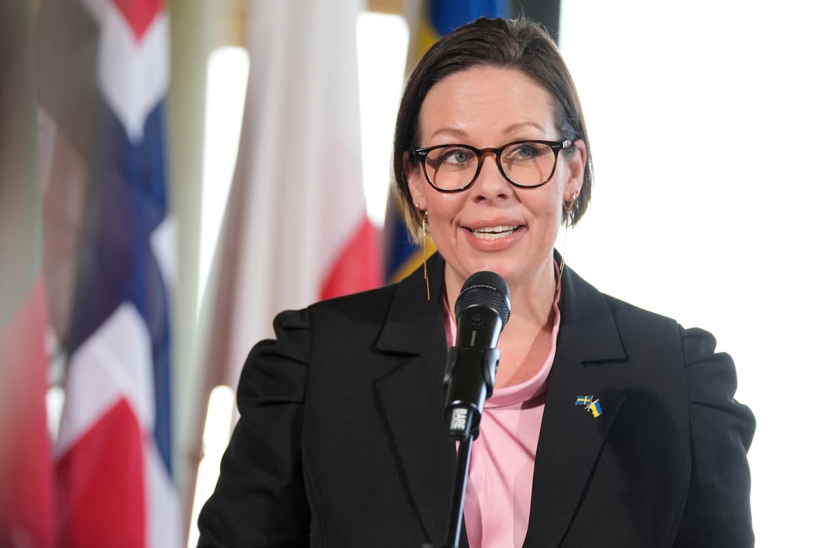 Swedish Foreign Minister Hopes for Quick Resolution in Journalist's Turkey Trial