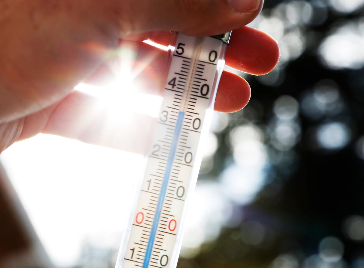Study Predicts Intensifying Heatwaves in Sweden Due to Climate Change