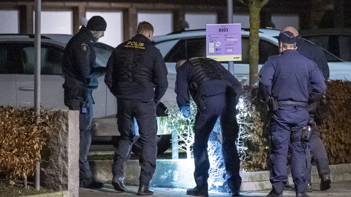 Suspected dangerous object was fireworks charge