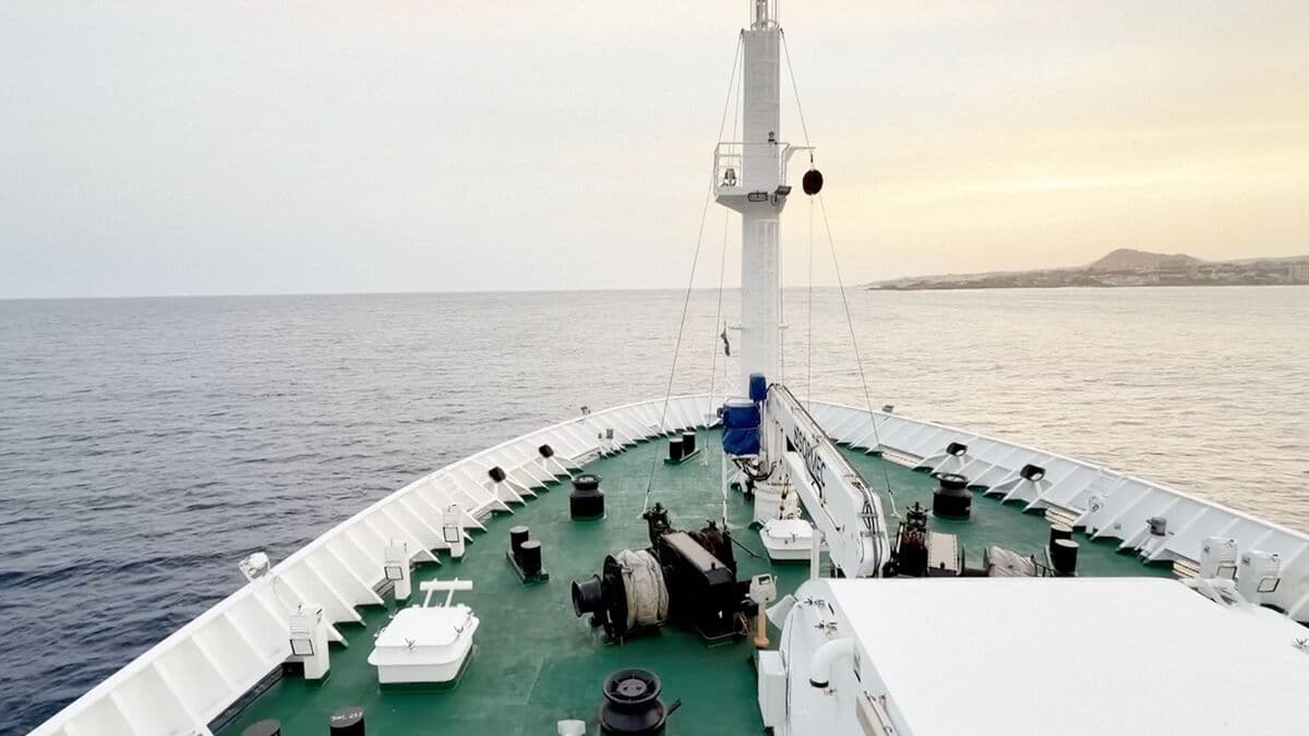 The horror at sea - what happened in the hantavirus outbreak on MV Hondius