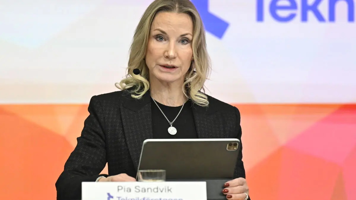 Business: Deportations create brain drain in Sweden