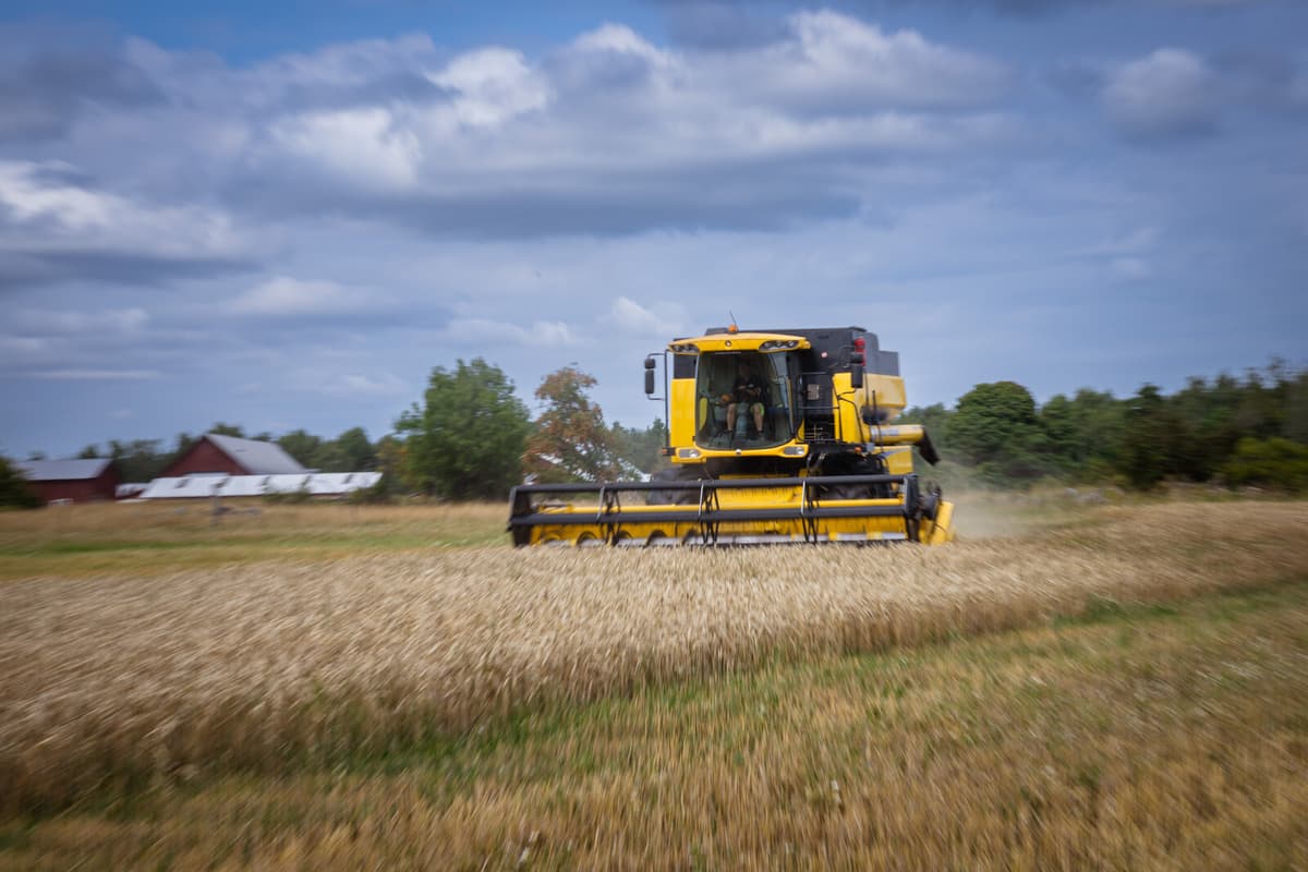 New Collective Agreement Reached for Swedish Agriculture