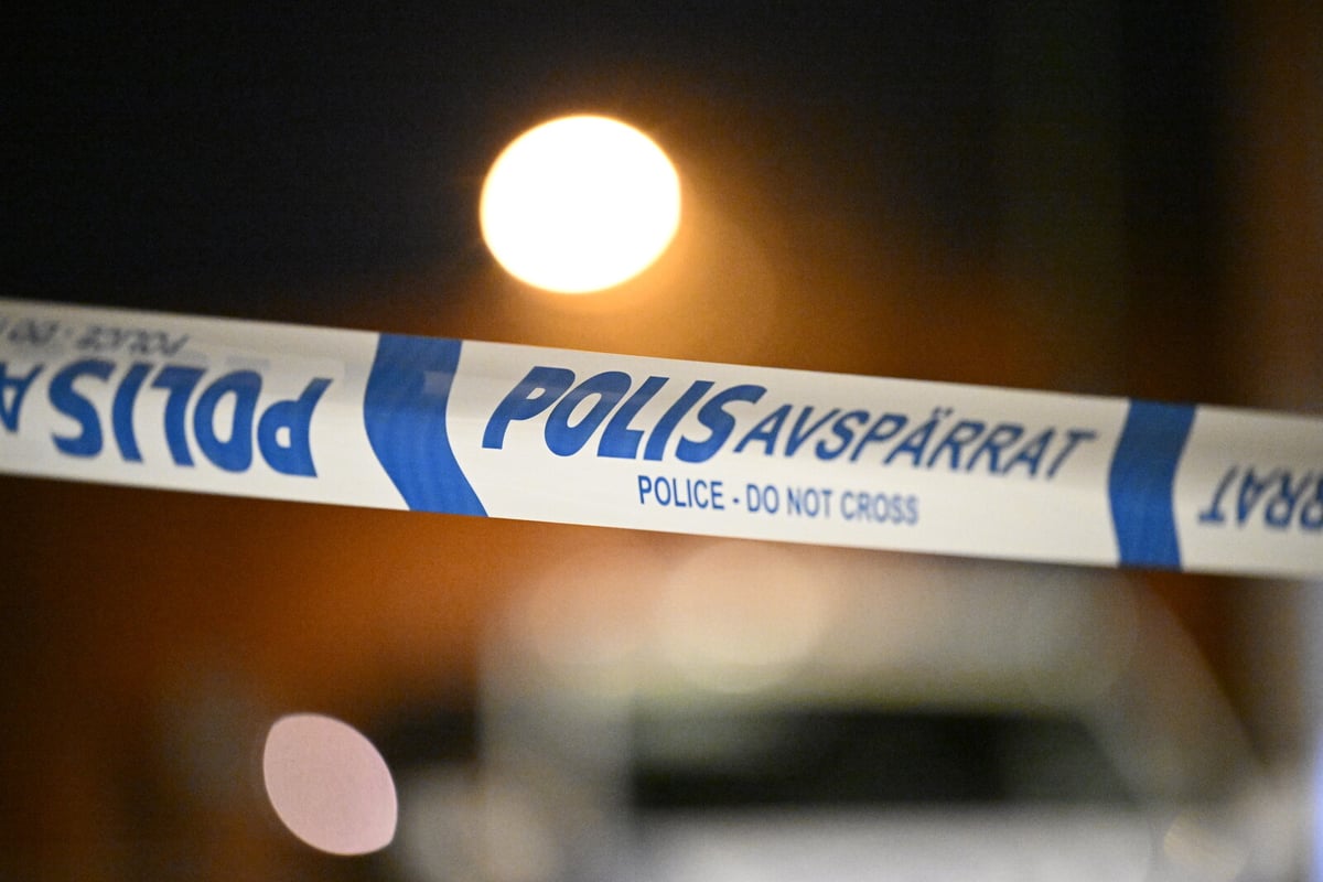 Police Investigate Mysterious Shooting at Stockholm Apartment