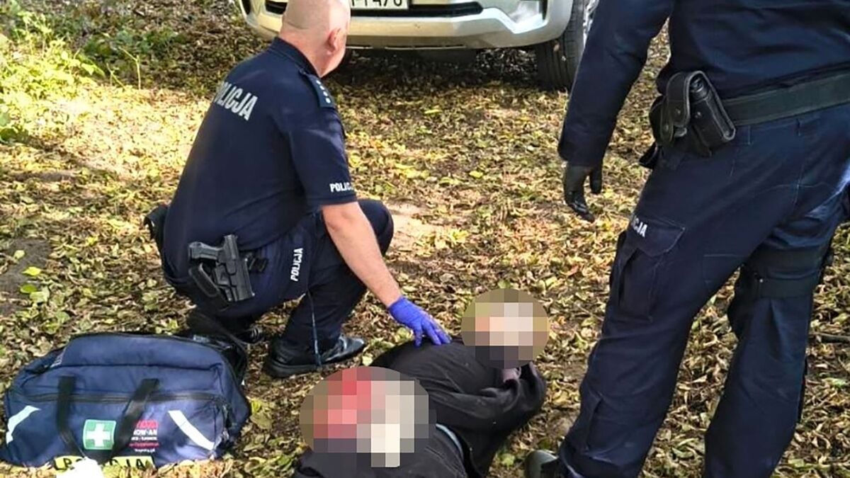 Eight injured in attack at vocational school in Poland, 19-year-old student arrested