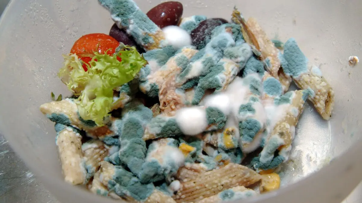 Unsafe food kills 1.5 million people worldwide every year