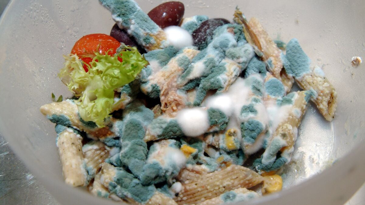 Unsafe food kills 1.5 million people worldwide every year