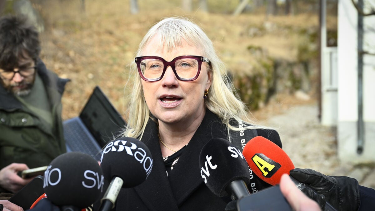After the SD turn, Liberal Women's chair resigns