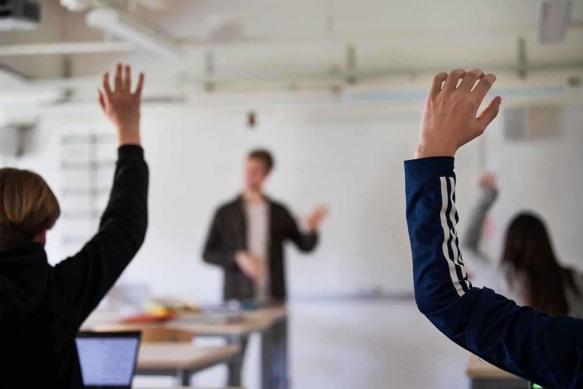 One Third of Students Lack Adequate School Support, Survey Reveals