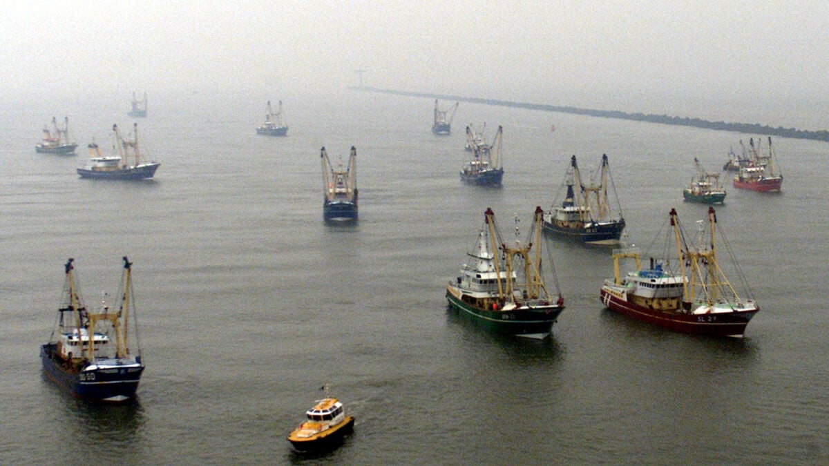 Warning of fishing chaos over new EU control system to combat illegal fishing