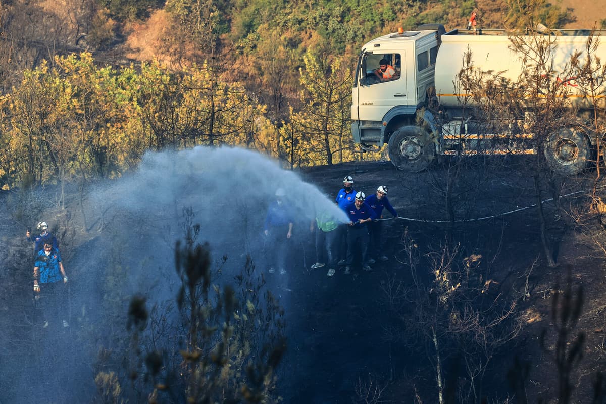 Turkey Forest Fires: 14 Dead, Thousands Evacuated Amid Heat Wave