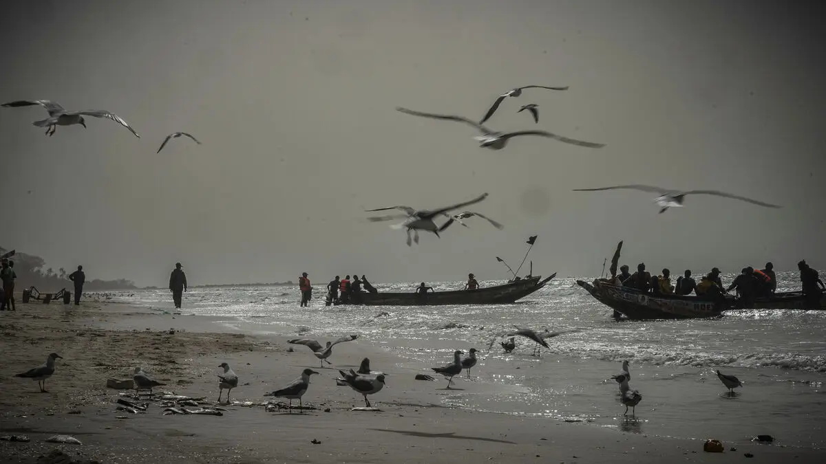 Boat heading to Europe sank, dozens missing