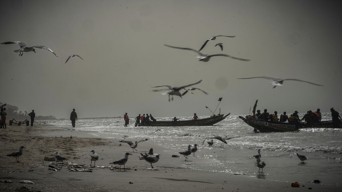 Boat heading to Europe sank, dozens missing