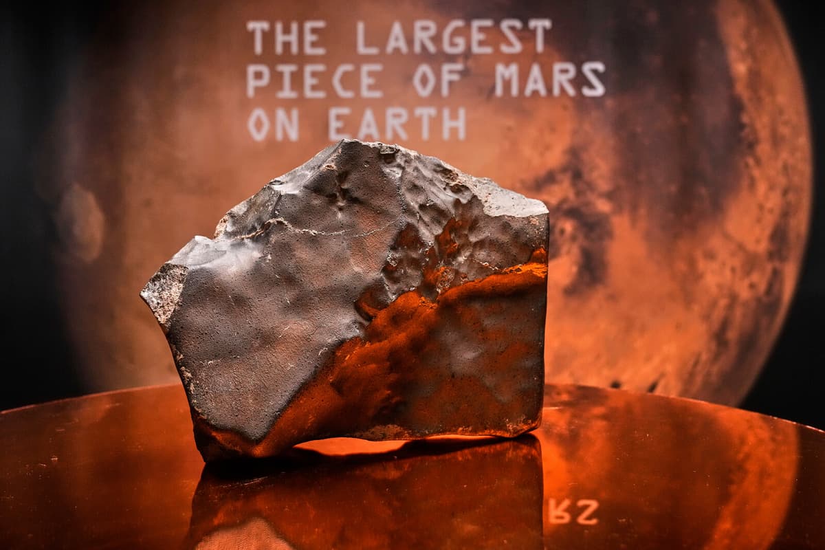 Own a Piece of Mars: Largest Martian Meteorite Up for Auction