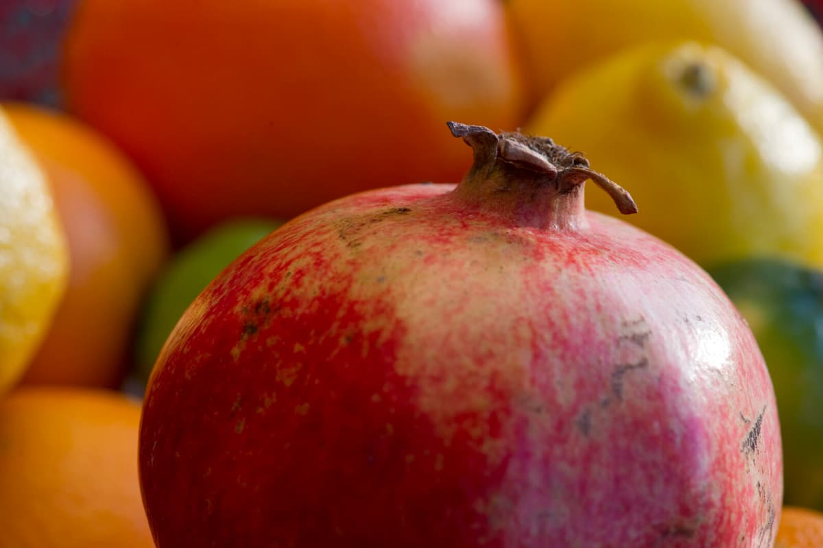 Four Sentenced for Hash Found in Pomegranate Shipment