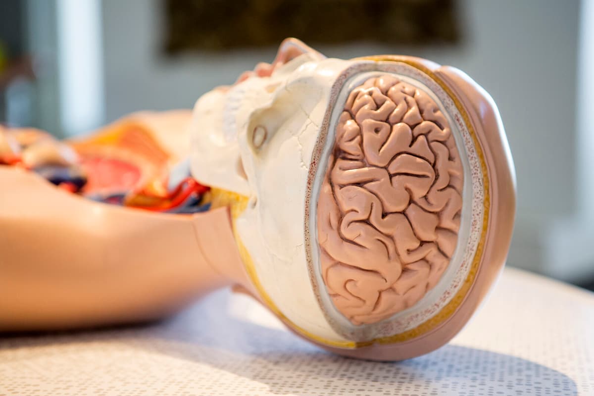 Sweden Advises Against Costly New ALS Drug Due to Limited Benefits