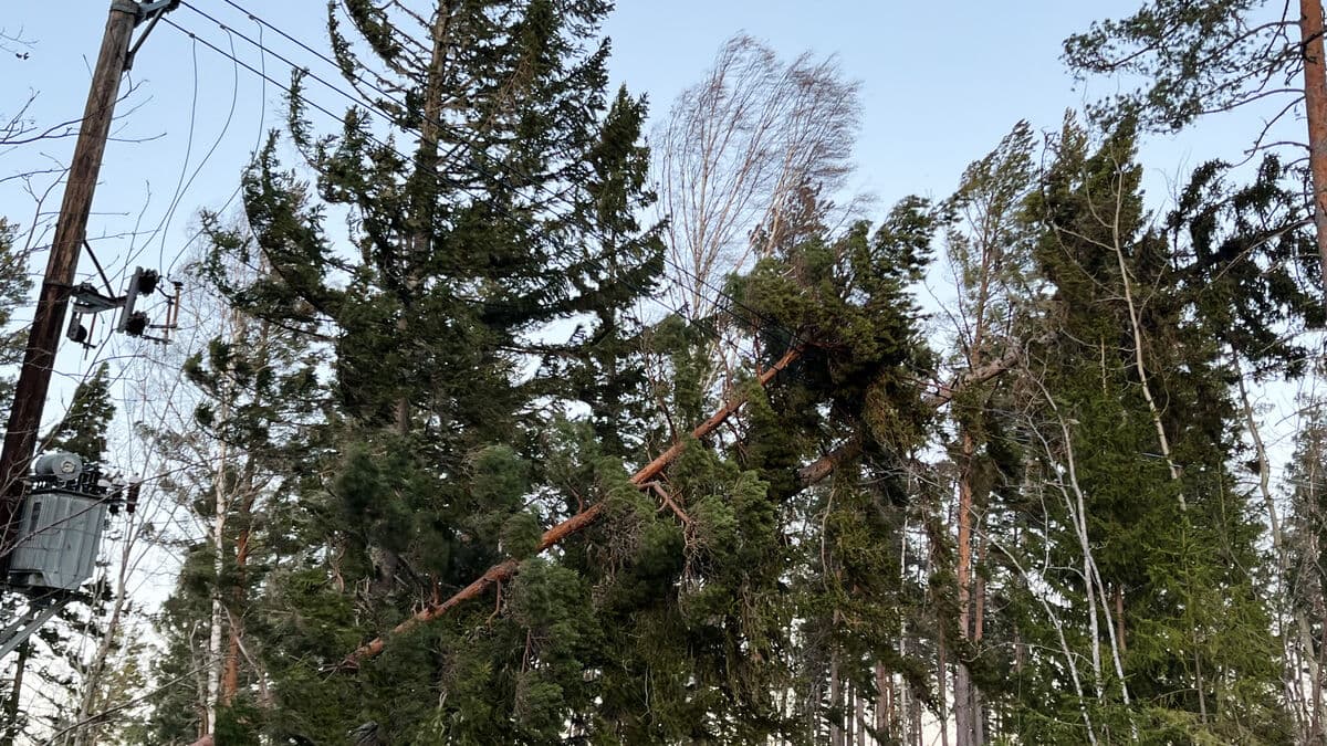 Tens of thousands still without power in Sweden: extreme situation
