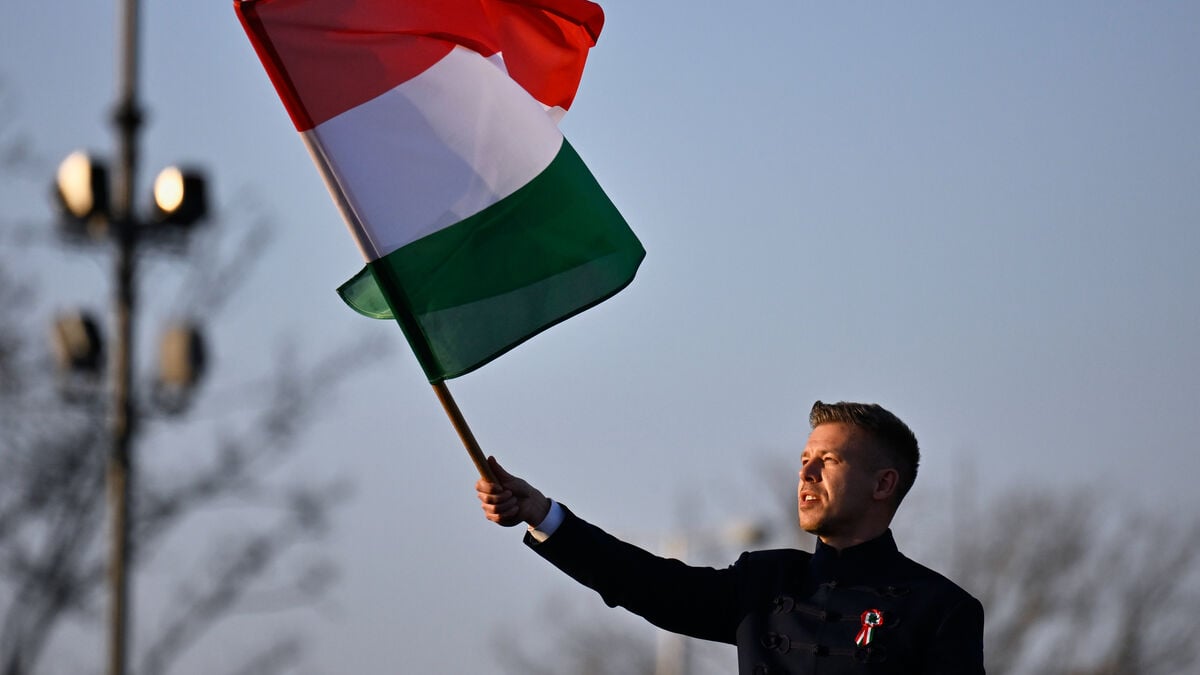How Péter Magyar became Viktor Orbán's biggest challenger