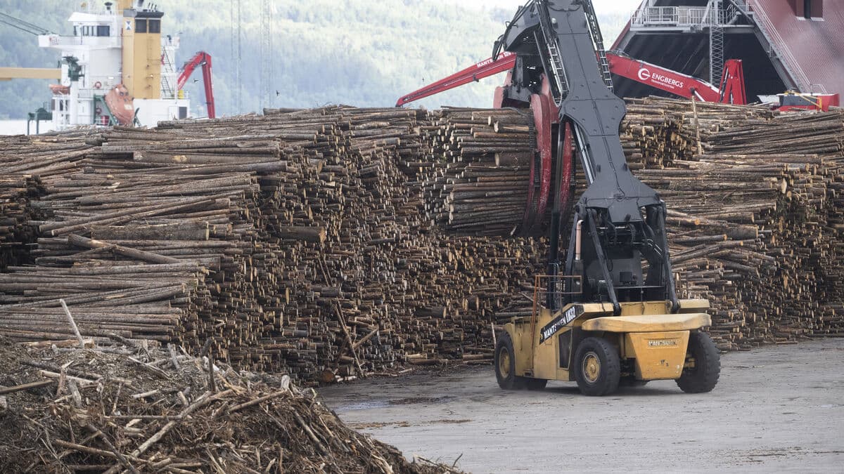 The bleak forecast: Fewer white-collar jobs