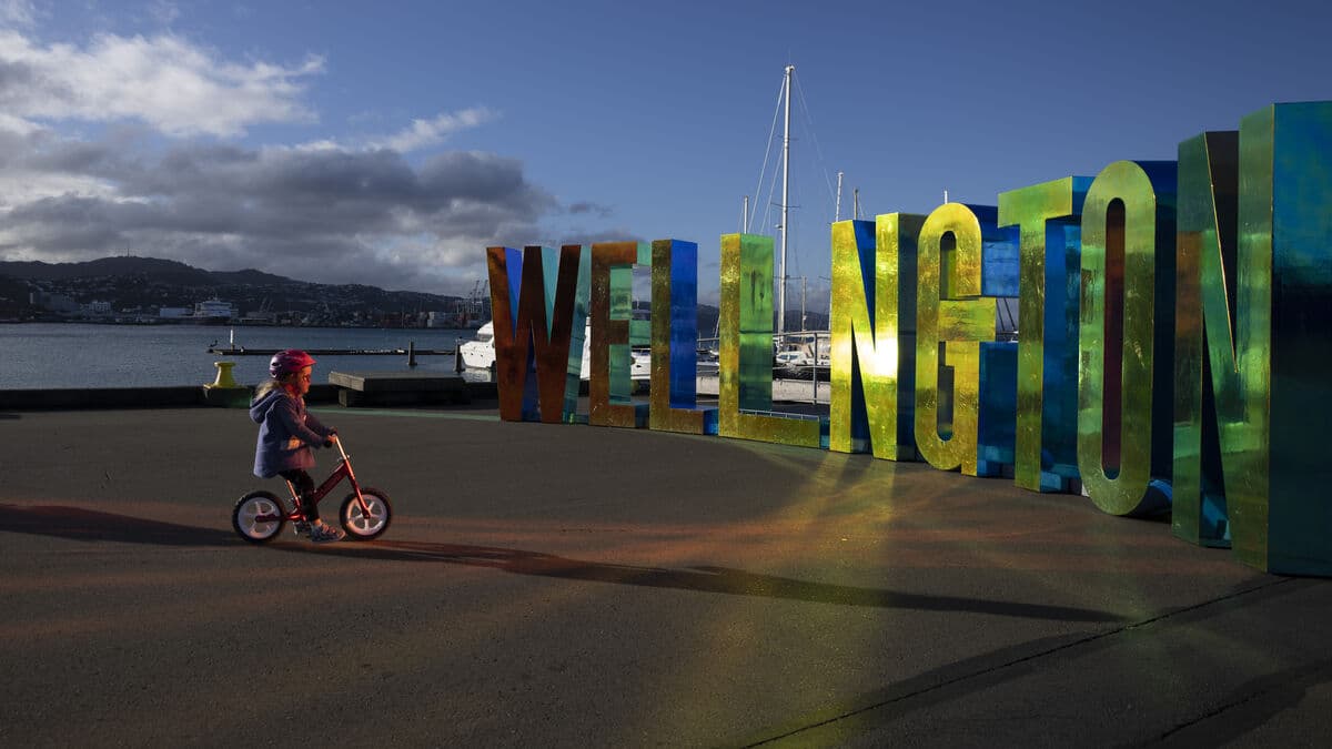 New Zealand Central Bank Cuts Interest Rate Further Reductions Expected