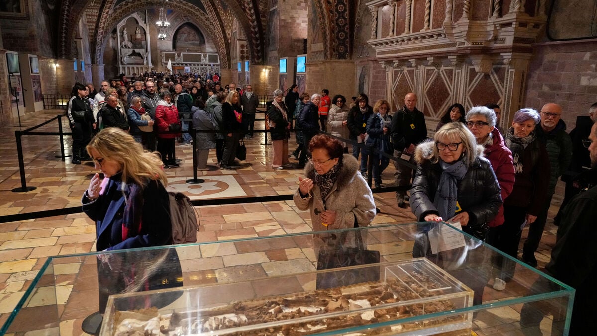 Saint Francis of Assisi relics on public display for first time since 1226