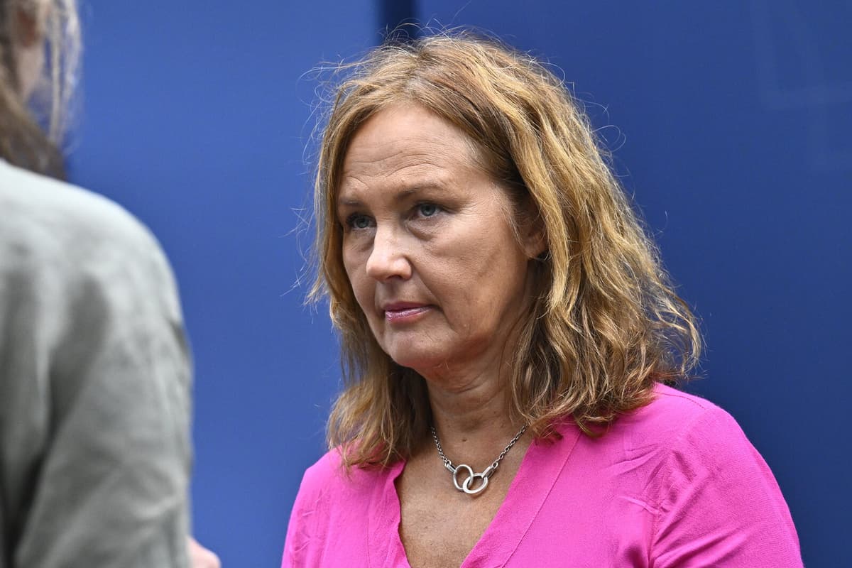 Criticism Grows Over Proposal to Lower Sweden's Criminal Responsibility Age