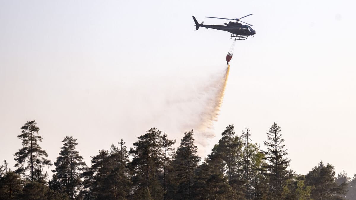 Extreme wildfire risk in parts of Sweden as dry weather raises fire danger