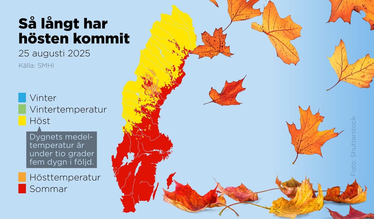 Autumn's Progress Slows as Warmer Nights Arrive