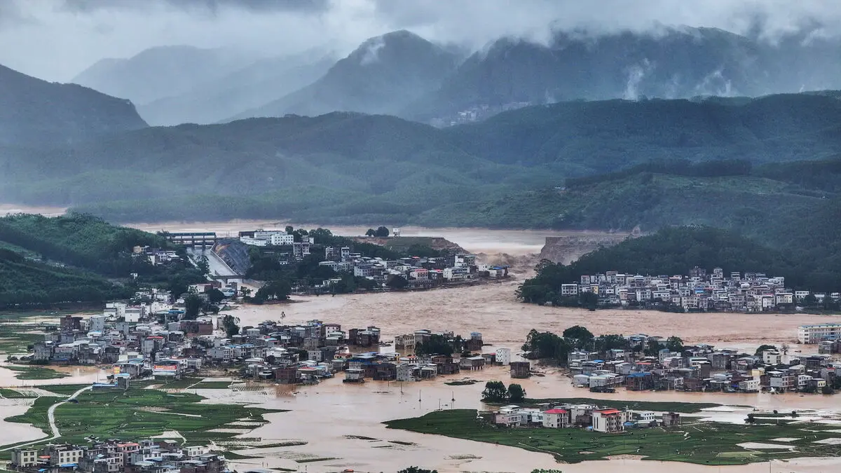 Deadly floods in China send up to 900 snakes escaping from washed-away farm
